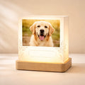 Personalised Pet Photo Lamp